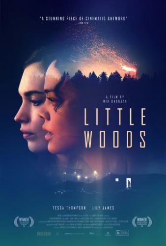 Фильм Лесок / Little Woods (2018)