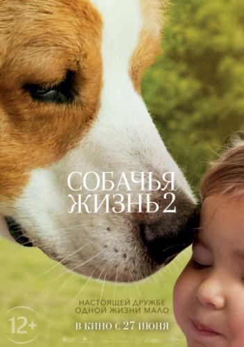 Фильм Собачья жизнь 2 / A Dog's Journey (2019)