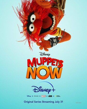 Фильм Маппеты сегодня / Muppets Now (2020)