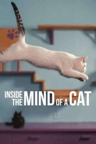 Фильм Внутри разума кошки / Inside the Mind of a Cat (2022)